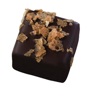 Halliday chocolat noir