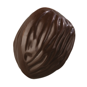 Noa Chocolat noir